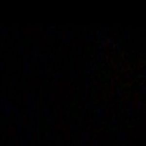 Meet your Posher, Janell